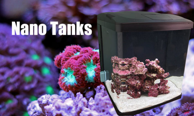 What is a nano reef fish tank?